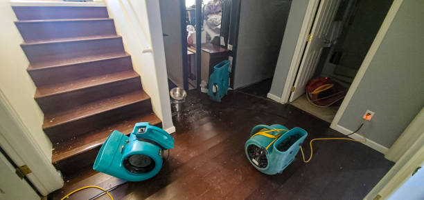 Best Professional water damage repair  in Yorkville, NY