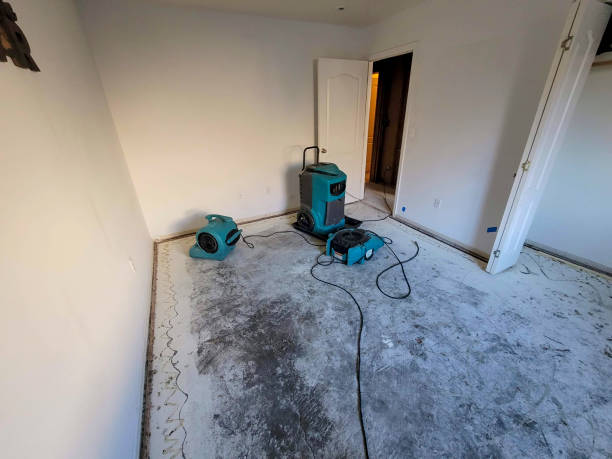 Best Water damage restoration near me  in Yorkville, NY