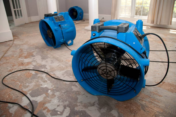 Best Local water damage restoration  in Yorkville, NY