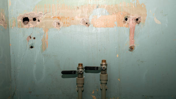 Best Water damage contractors near me  in Yorkville, NY